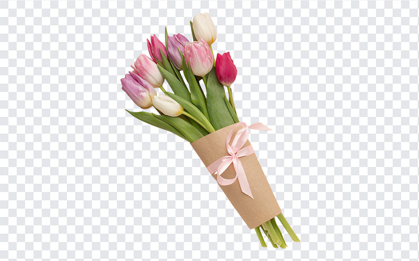 Tulips Bouquet PNG